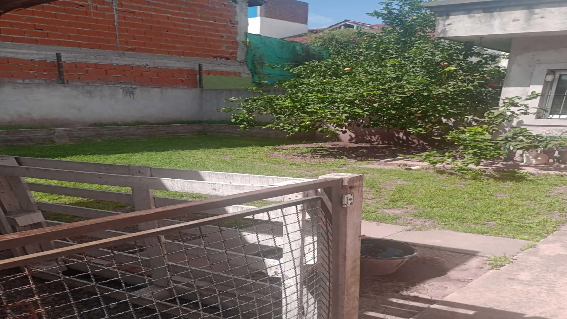 JORGE NEWBERY 1381 – foto 2