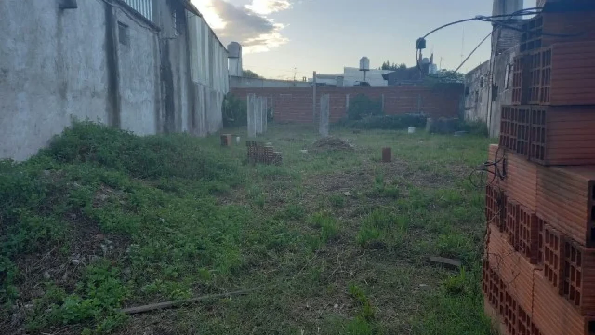 TOMAS ESPORA 4720 – foto 5