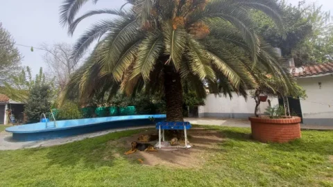 RICARDO GUTIERREZ 10740 — RICARDO GUTIERREZ 10740