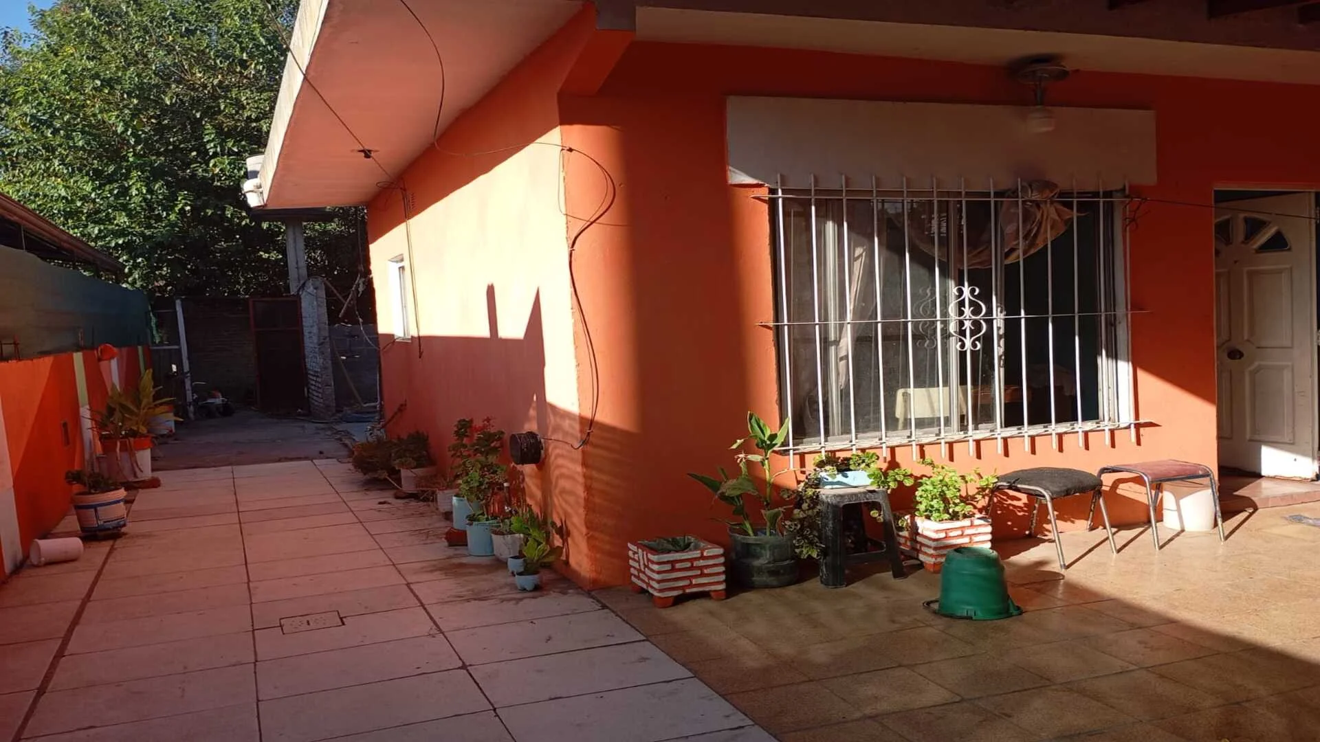 EINSTEIN 1209 – foto 3